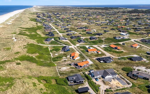 Lill - 50M from the Sea: Plant Community, Sunlight, Herbaceous Plant, Garden, Plantation, Agriculture, Farm