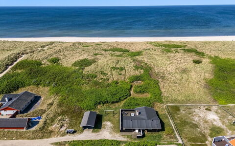 Lill - 50M from the Sea: Plant Community, Sunlight, Herbaceous Plant, Garden, Plantation, Agriculture, Farm