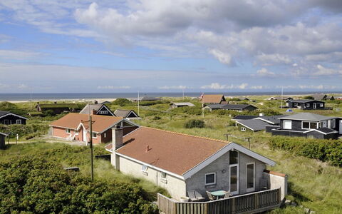 Enwald - 300M from the Sea