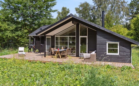 Jonnhild - 450M from the Sea: Plant Community, Sunlight, Herbaceous Plant, Garden, Plantation, Agriculture, Farm