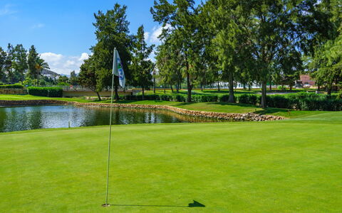 El Manantial de Santa Maria: Plant, Water, Sky, Tree, Natural Landscape, Golf Club, Golf Course, Cloud, Land Lot