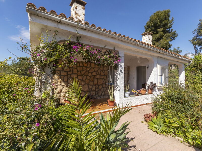 Villa Pedro