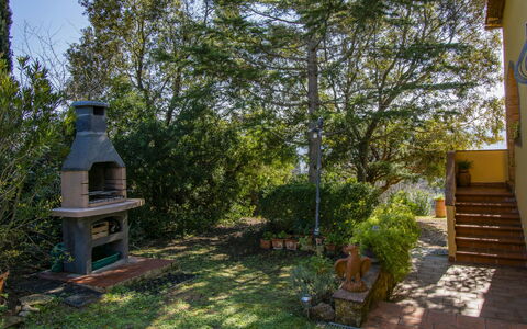 Bellavista: Building, Daytime, Sky, Plant, Tree, Arecales, Fence, Terrestrial Plant, Urban Design, Woody Plant
