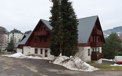 Rokytnice Nad Jizerou 556