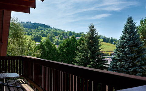 Rokytnice Nad Jizerou 556: Sky, Cloud, Property, Tree, Porch, Wood, Mountain, Larch, Fence, Vegetation