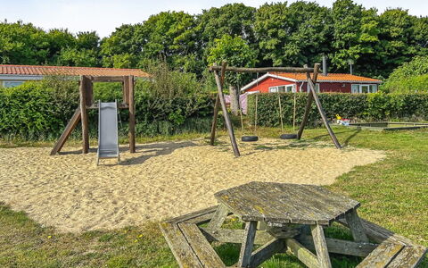 Kjera - 200M from the Sea: Plant Community, Sunlight, Herbaceous Plant, Garden, Plantation, Agriculture, Farm