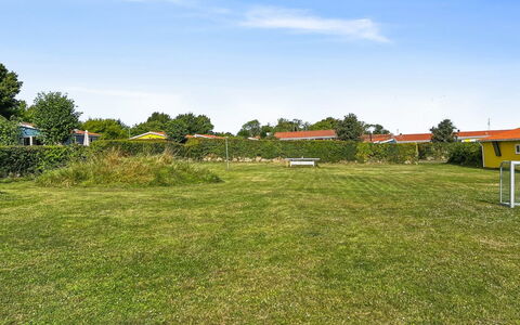 Kjera - 200M from the Sea: Plant Community, Sunlight, Herbaceous Plant, Garden, Plantation, Agriculture, Farm
