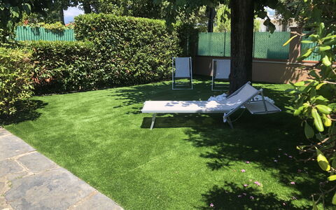 Villa Paola: Plant, Property, Plant Community, Tree, Outdoor Furniture, Shade, Land Lot, Grass, Public Space, Shrub
