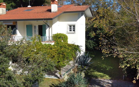 Villa Glicine: Plant, Property, Window, Building, Botany, House, Tree, Grass, Land Lot, Cottage
