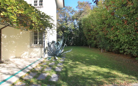 Villa Glicine: Plant, Property, Window, Leaf, Building, Sky, Branch, Vegetation, Land Lot, Tree