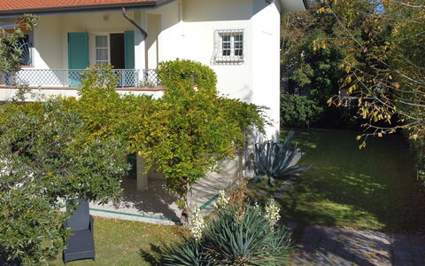 Villa Glicine: Plant, Building, Window, Property, Leaf, Botany, House, Vegetation, Land Lot, Grass