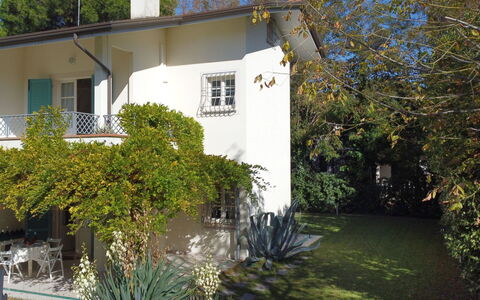 Villa Glicine: Plant, Building, Property, Window, Sky, Botany, Tree, House, Land Lot, Cottage