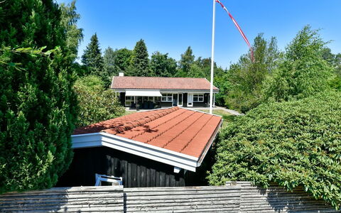 Cedomir - 625M from the Sea: Plant Community, Sunlight, Herbaceous Plant, Garden, Plantation, Agriculture, Farm