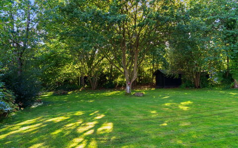 Ljuba - 1.2Km from the Sea: Leaf, Tree, Grass, Green, Shrub, Garden, Lawn, Land Lot, Groundcover