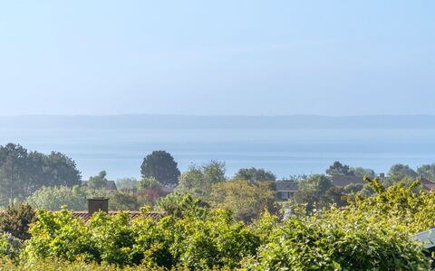 Miona - 725M from the Sea: Plant Community, Sunlight, Herbaceous Plant, Garden, Plantation, Agriculture, Farm
