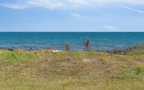 Arild - 10M from the Sea: Plant Community, Sunlight, Herbaceous Plant, Garden, Plantation, Agriculture, Farm