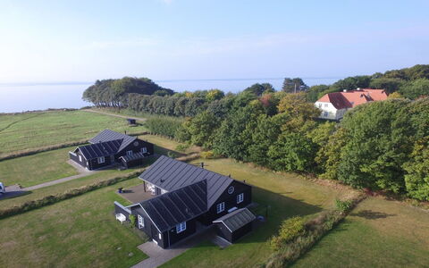 Miika - 100M from the Sea: Plant Community, Sunlight, Herbaceous Plant, Garden, Plantation, Agriculture, Farm