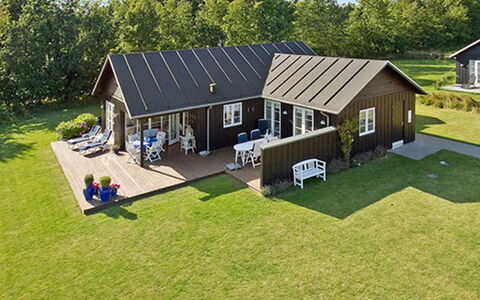 Miika - 100M from the Sea: Plant Community, Sunlight, Herbaceous Plant, Garden, Plantation, Agriculture, Farm