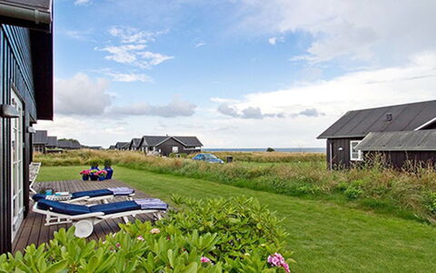 Miika - 100M from the Sea: Plant Community, Sunlight, Herbaceous Plant, Garden, Plantation, Agriculture, Farm