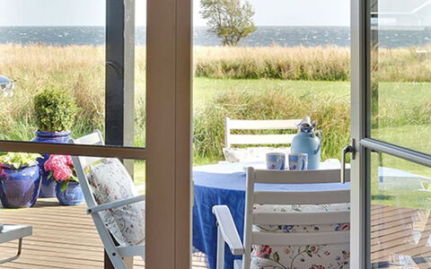 Miika - 100M from the Sea: Plant Community, Sunlight, Herbaceous Plant, Garden, Plantation, Agriculture, Farm