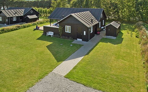 Miika - 100M from the Sea: Plant Community, Sunlight, Herbaceous Plant, Garden, Plantation, Agriculture, Farm