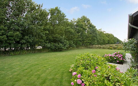 Miika - 100M from the Sea: Plant Community, Sunlight, Herbaceous Plant, Garden, Plantation, Agriculture, Farm