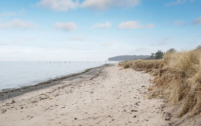 Hattie - 100M from the Sea