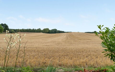 Asya - 600M from the Sea: Blue, Shrub, Cottage, Groundcover, Garden, Estate, Shade, Landscaping, Farmhouse, Eco Hotel