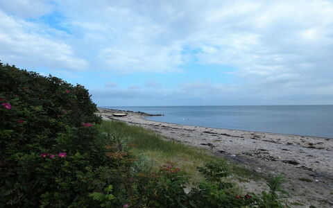 Amy - 150M from the Sea: Sky, Blue, Horizon, Cloud, Coast, Beach, Sea, Coastal And Oceanic Landforms, Summer