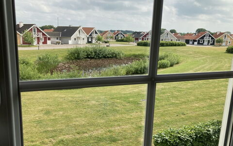Eike - 250M from the Sea: Plant Community, Sunlight, Herbaceous Plant, Garden, Plantation, Agriculture, Farm
