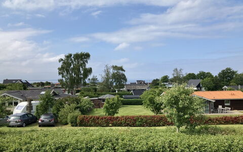 Eike - 250M from the Sea: Plant Community, Sunlight, Herbaceous Plant, Garden, Plantation, Agriculture, Farm