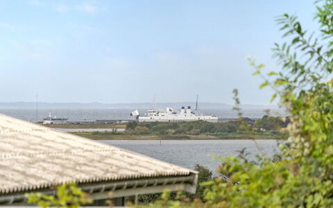 Loi - 200M from the Sea: Plant Community, Sunlight, Herbaceous Plant, Garden, Plantation, Agriculture, Farm