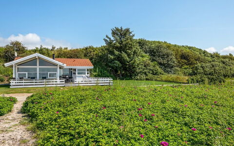 Arnwith - 20M from the Sea: Flower, Shrub, Cloud, Groundcover, Spring, Cottage, Garden, Flowering Plant, Meadow