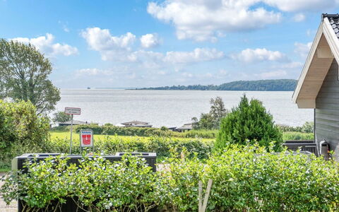 Rathi - 250M from the Sea: Plant Community, Sunlight, Herbaceous Plant, Garden, Plantation, Agriculture, Farm