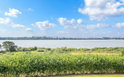 Rathi - 250M from the Sea: Plant Community, Sunlight, Herbaceous Plant, Garden, Plantation, Agriculture, Farm