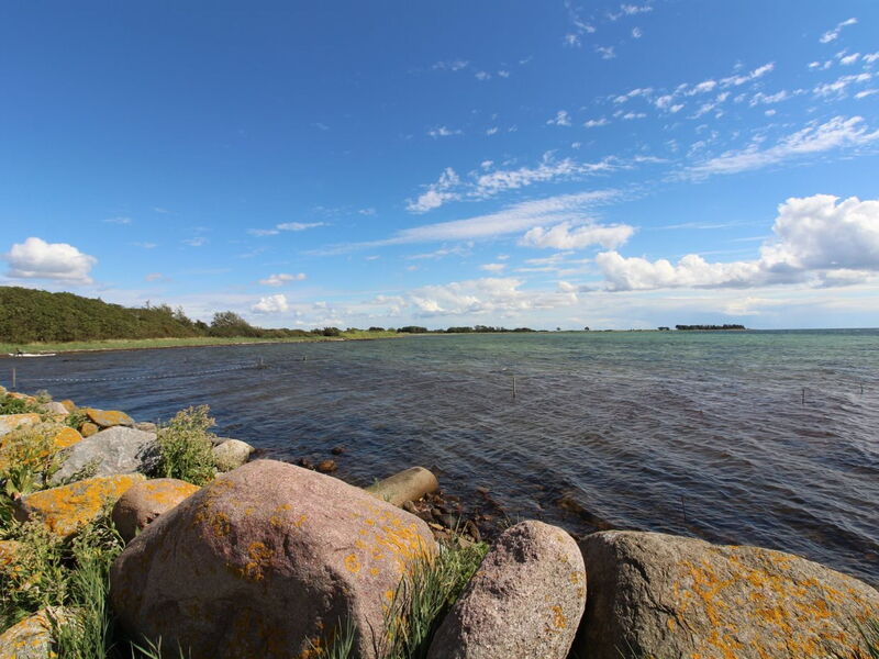 Wrage - 500M from the Sea