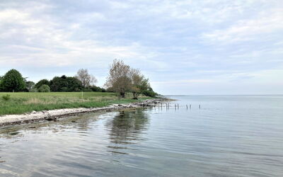 Ilppo - 200M from the Sea