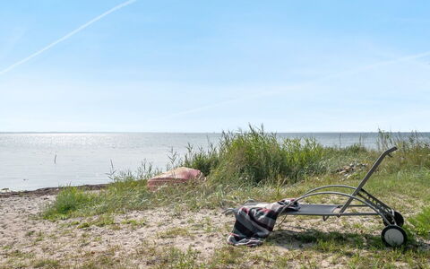 Selja - 15M from the Sea: Plant Community, Sunlight, Herbaceous Plant, Garden, Plantation, Agriculture, Farm