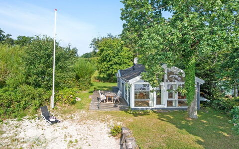 Selja - 15M from the Sea: Plant Community, Sunlight, Herbaceous Plant, Garden, Plantation, Agriculture, Farm