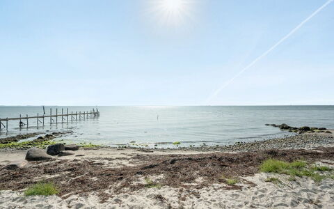 Selja - 15M from the Sea: Plant Community, Sunlight, Herbaceous Plant, Garden, Plantation, Agriculture, Farm