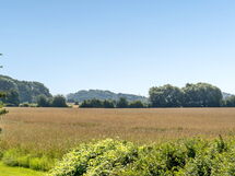 aki - 1.5km From The Sea