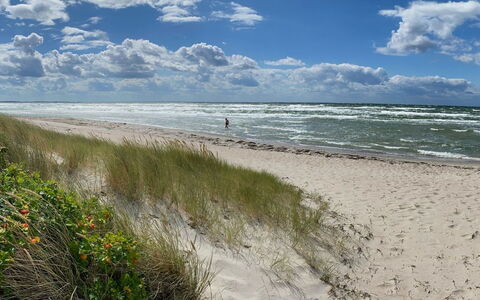 Wiger - 150M from the Sea: Sky, Blue, Body Of Water, Natural Environment, Cloud, Beach, Coast, Horizon, Summer