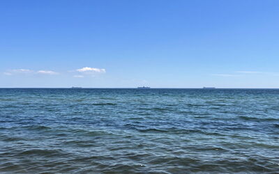Mato - 100M from the Sea