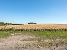 Haralde - 2.5Km from the Sea