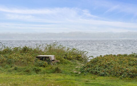 Elisej - 100M from the Sea: Grass, Green, Natural Environment, Horizon, Grassland, Vegetation, Ecoregion, Sea, Plant Community, Cloud