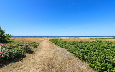 Elisej - 100M from the Sea