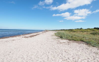 Elisej - 100M from the Sea