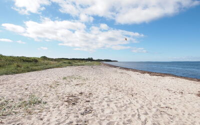 Elisej - 100M from the Sea
