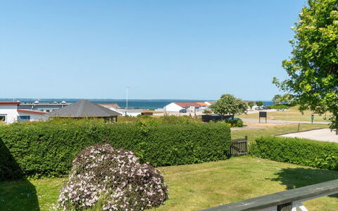 Ambrosius - 75M from the Sea: Plant Community, Sunlight, Herbaceous Plant, Garden, Plantation, Agriculture, Farm
