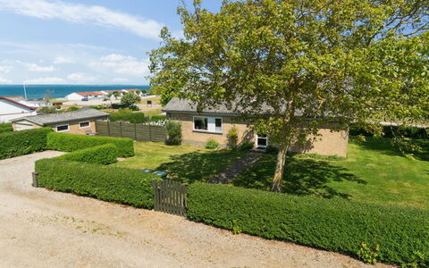 Ambrosius - 75M from the Sea: Plant Community, Sunlight, Herbaceous Plant, Garden, Plantation, Agriculture, Farm